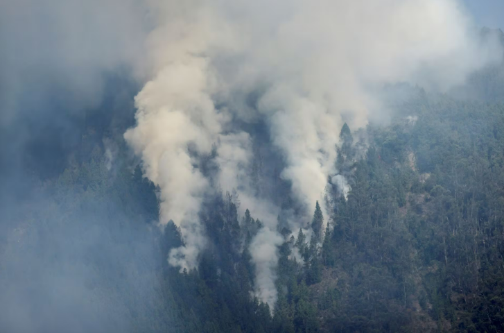 Thảm họa thiên nhiên do cháy rừng ở Colombia